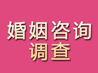 宝安婚姻咨询调查